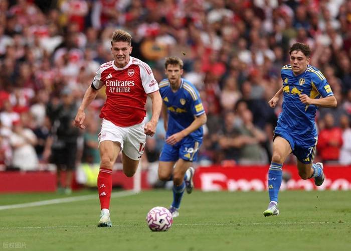 阿森纳客场压哨进球，惜败对手的简单介绍
