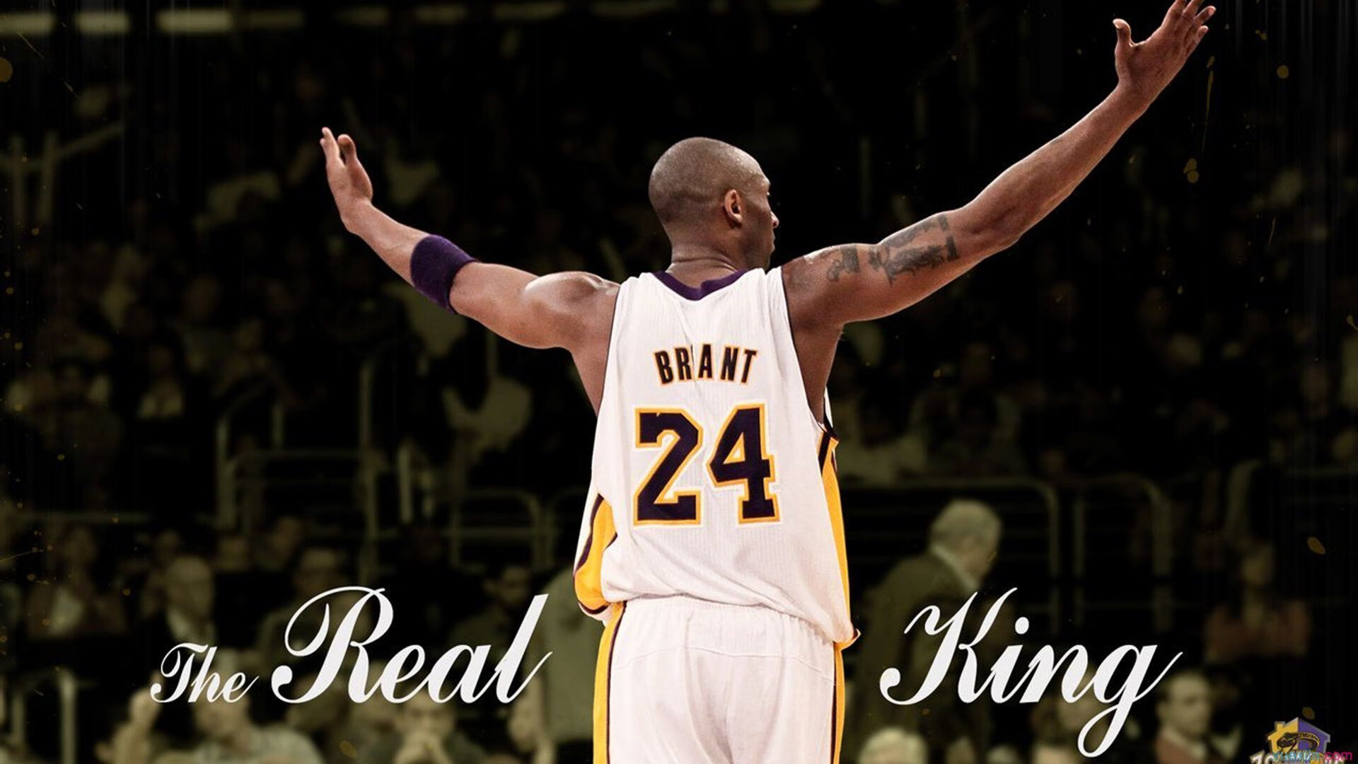 绿茵场外的跨界传奇，当NBA总决赛遇上克罗地亚与爱尔兰的足球对决